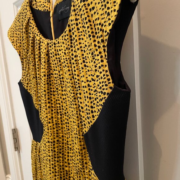 Rachel Comey A-Line Printed Silk/Wool Dress XS - Picture 10 of 13